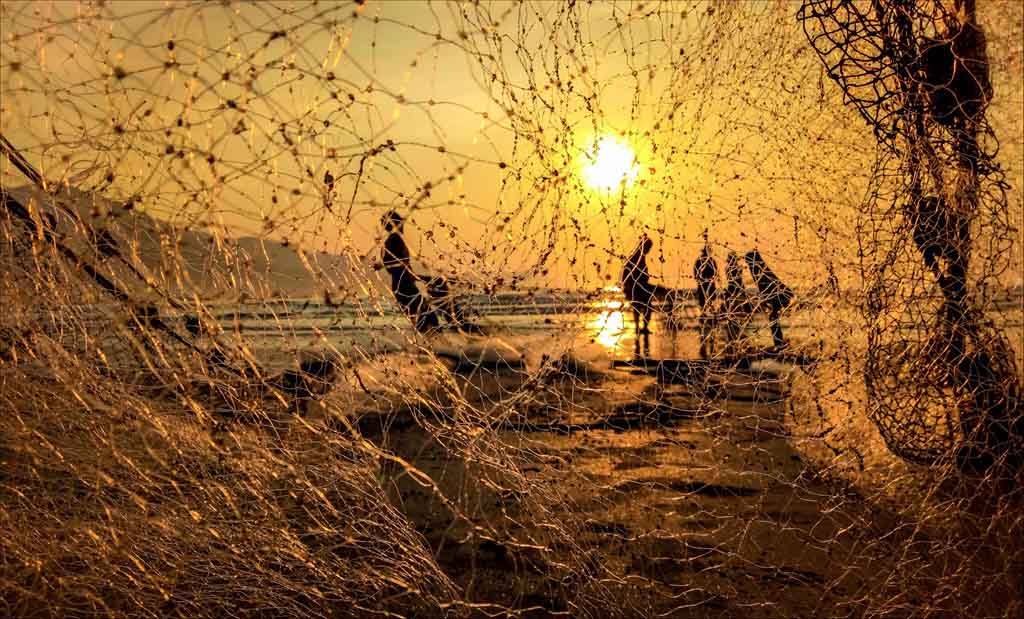 Thọ Quang (Đà Nẵng)