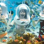Lặn biển Cù Lao Chàm