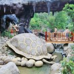 Tour du lịch Suối nước khoáng Thần Tài Đà nẵng