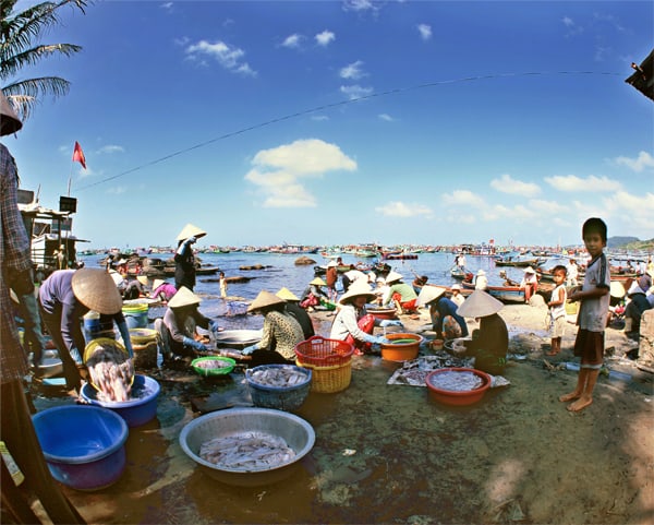 Tour câu cá ngắm san hô tại Phú Quốc 3N2Đ chợ dương đông