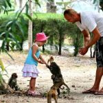 Tour du lịch Cát Bà 2N1Đ đón trả tại Hà Nội