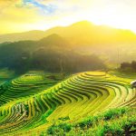Tour du lịch Hoàng Su Phì - Xí Mần - Bắc Hà 4N3Đ đón trả tại Hà Nội ruộng Bậc Thang