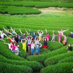 Tour du lịch Mộc Châu 2N3Đ khởi hành từ Huế