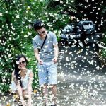 Tour du lịch Hoa Lư - Tam Cốc - Cúc Phương 2N1Đ đón trả tại Hà Nội rừng cúc phương