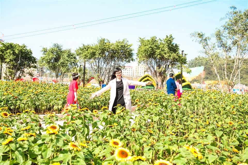 Du lịch Hạ Long Quảng Ninh nên đi đâu