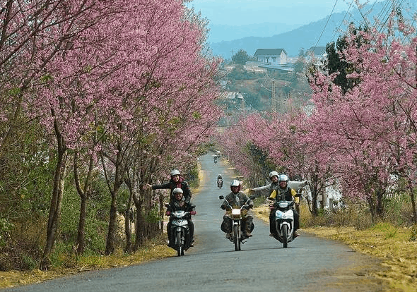 Đà lạt được xem là nơi du lịch vừa rẻ vừa đẹp