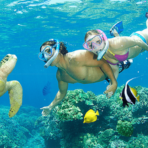 phú quốc là nơi du lịch vừa rẻ vừa đẹp