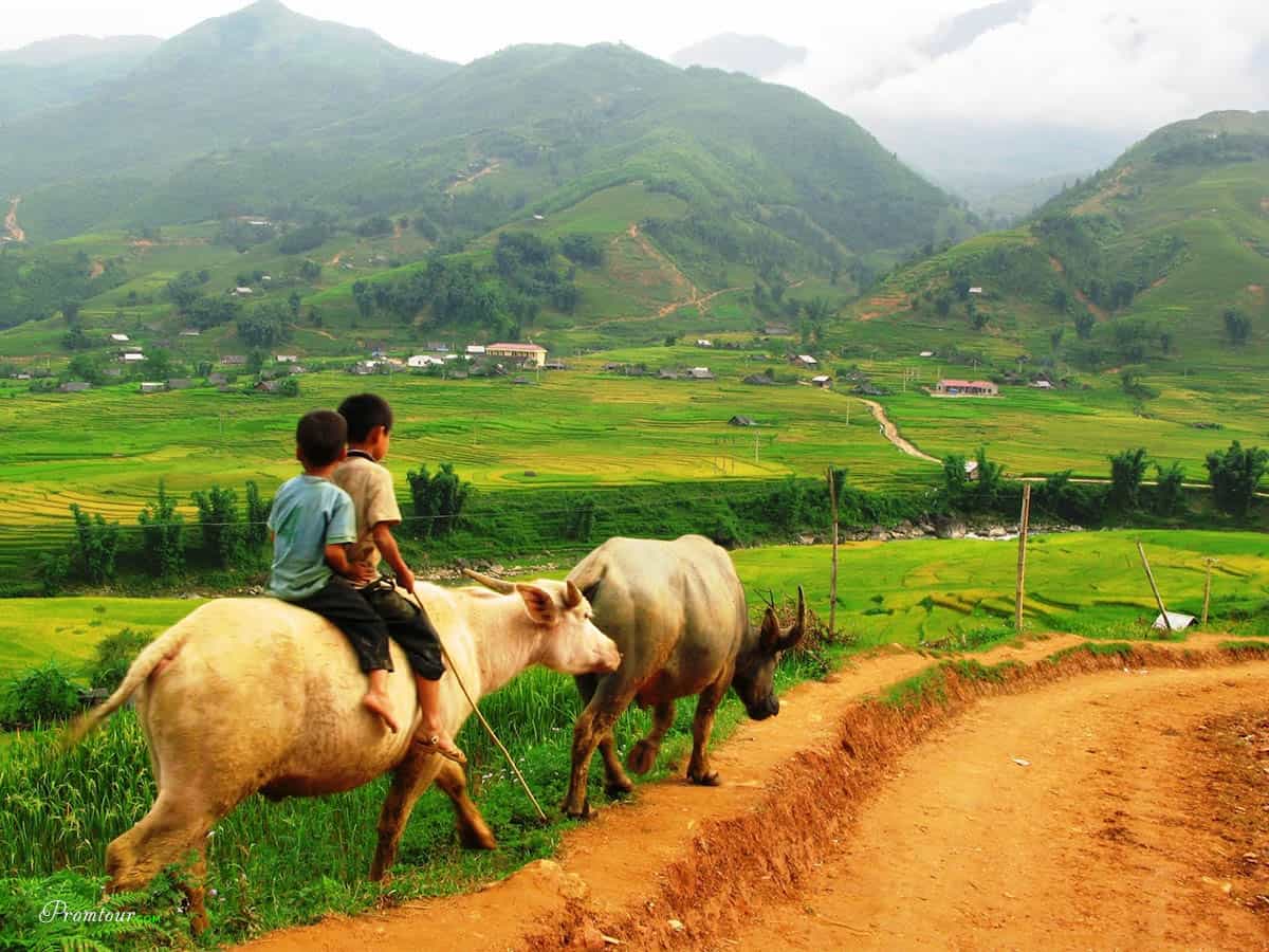 Kinh nghiệm du lịch SaPa mùa hè