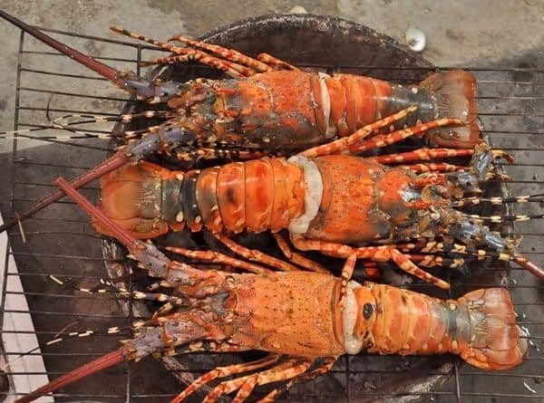 Khu du lịch Sao Biển Cam Ranh Khánh Hòa 13