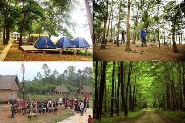 Sơn Tinh Camp