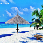 chương trình tour hội an 1 ngày