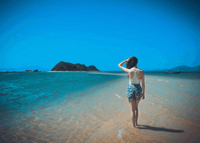 điệp sơn