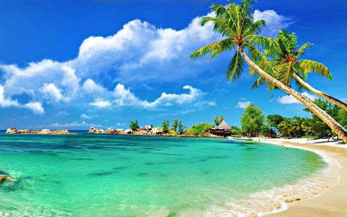 Nam Du - Nàng tiên cá giữa biển khơi.