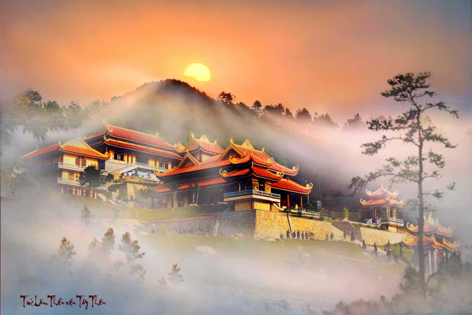 Tam Đảo