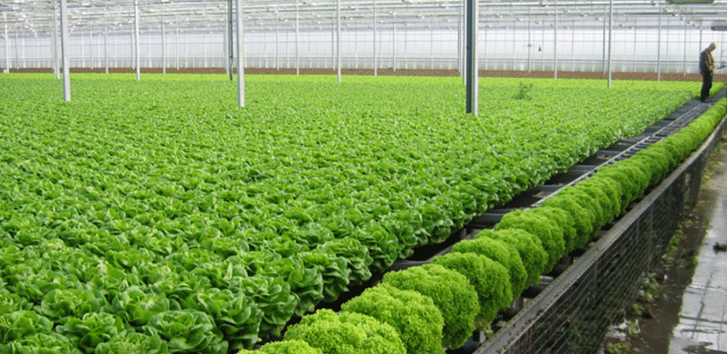 8 Khu vui chơi Vinpearl Nam Hội An đỉnh nhất 2018