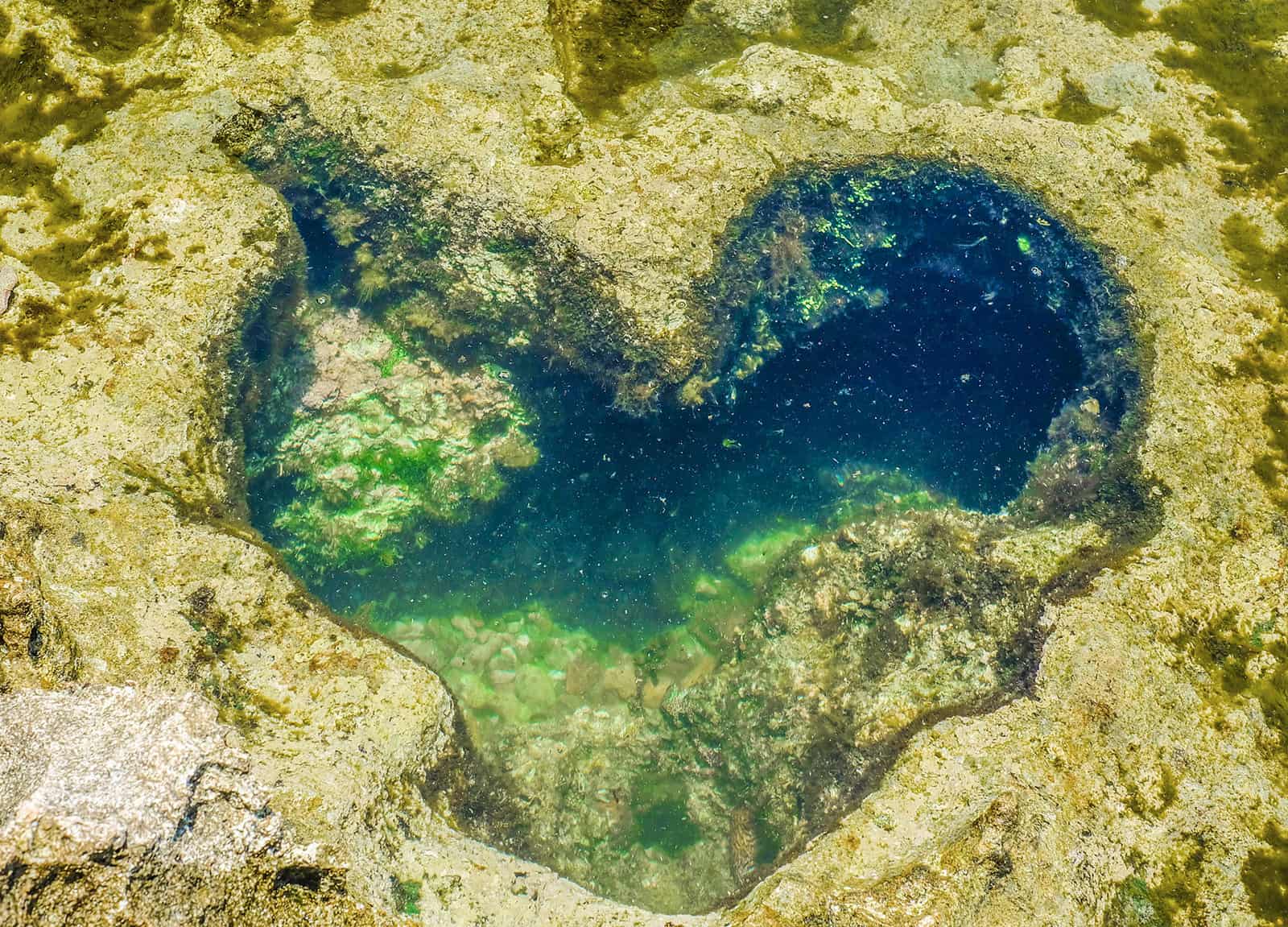 hoc da hinh trai tim duoc nhieu ban tre san lung