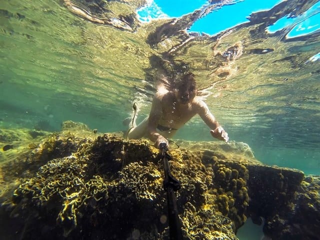 lặn biển khám phá san hô cực thú vị