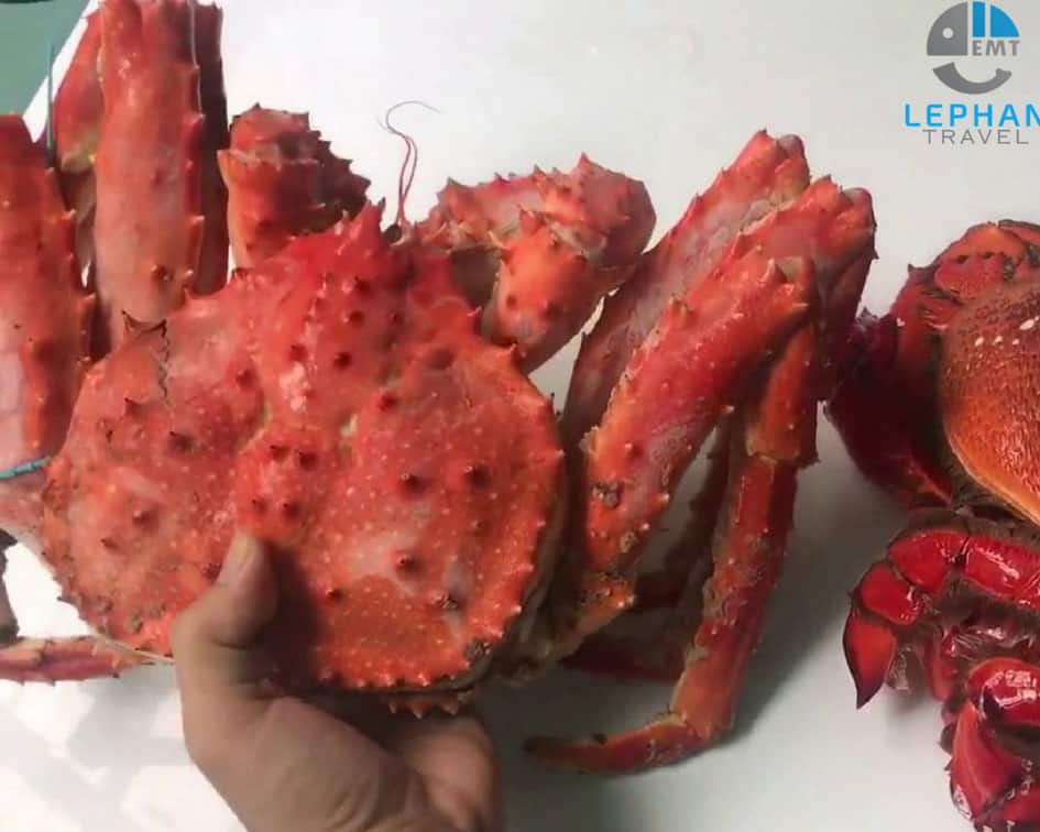 Cua Huỳnh Đế