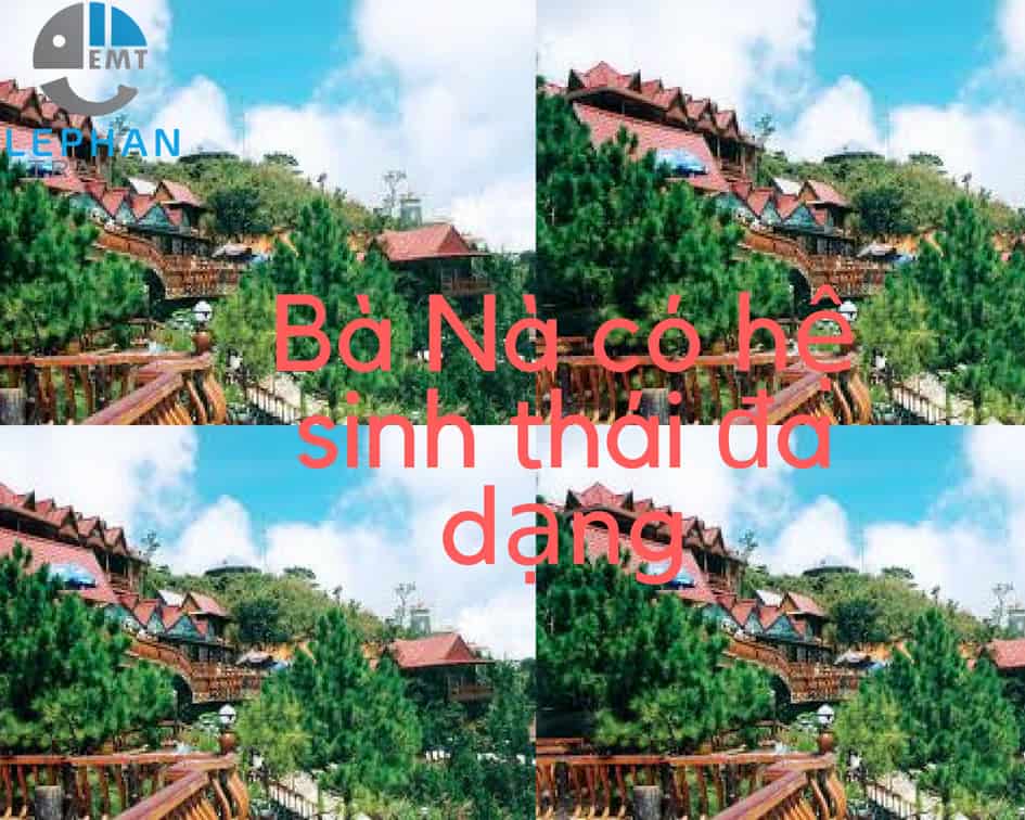 Bà Nà có hệ sinh thái vô cùng đa dạng