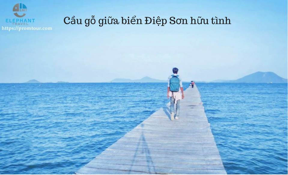 cay cau go nha trang giua bien diep son