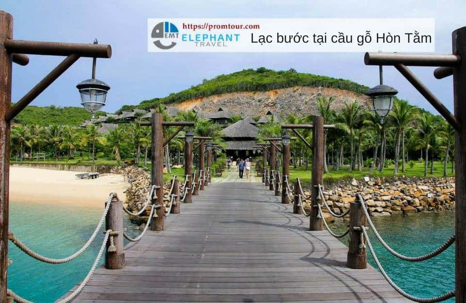 cay cau go nha trang o hon tam