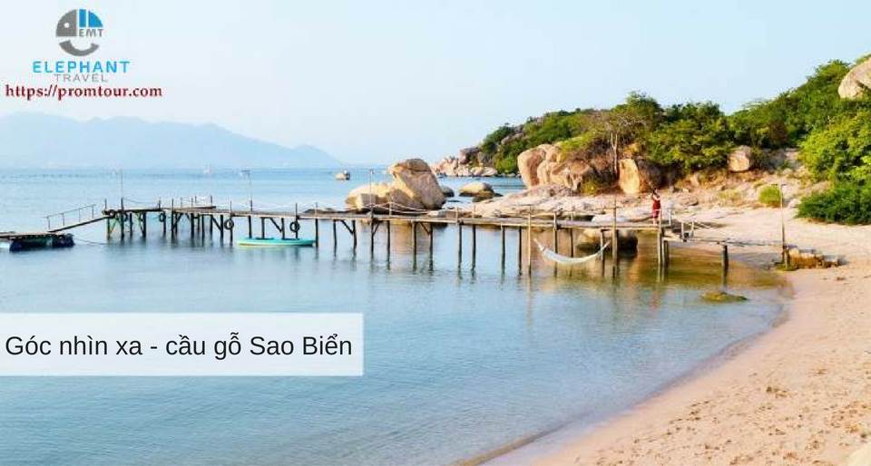 cay cau go sao bien nha trang