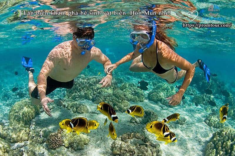 lặn biển ngắm san hô tại đảo hòn tằm nha trang