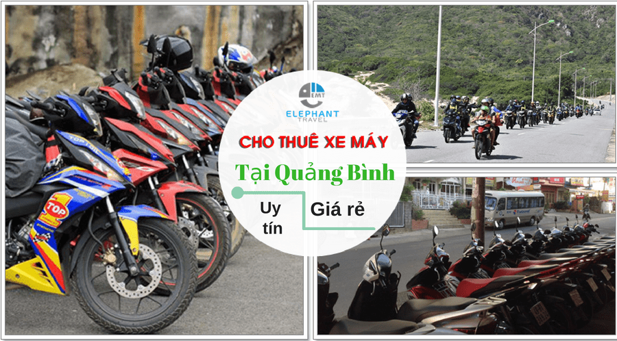 Tour giá sốc 