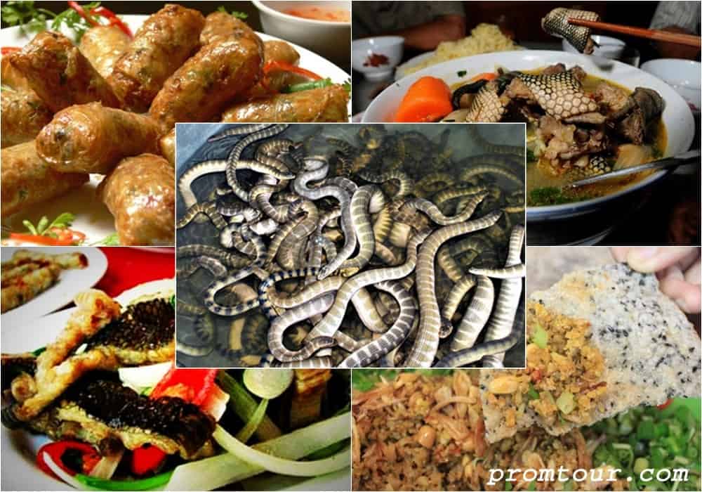 dac san den bien dong hoi quang binh