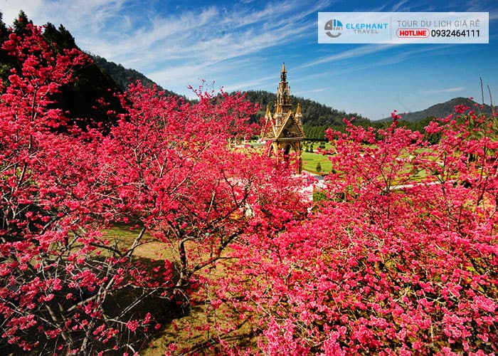 du lịch đài loan mùa nào đẹp