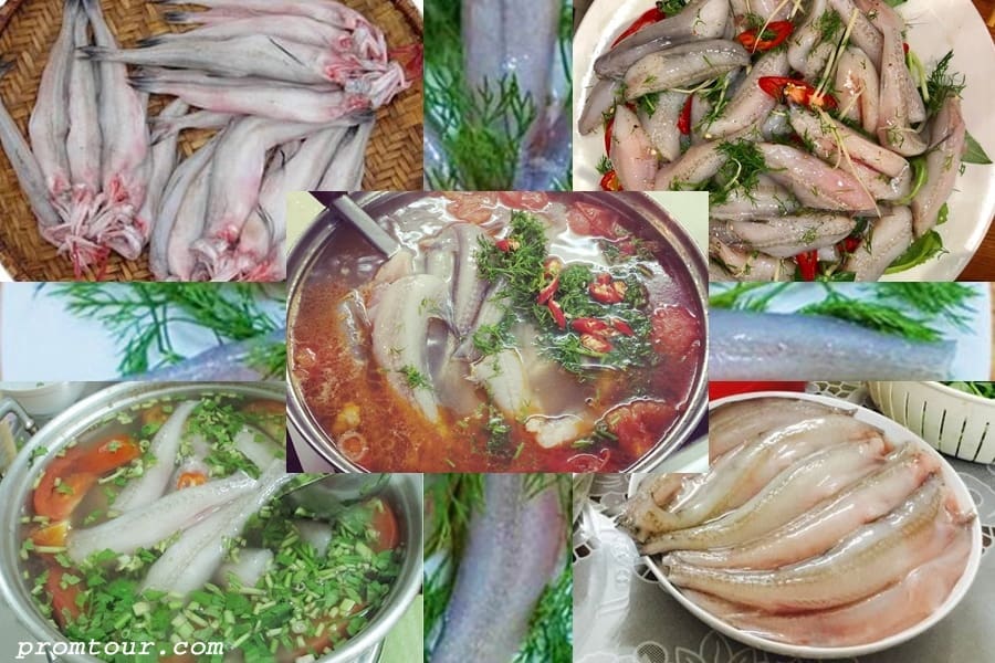 lau ca khoai dong hoi quang binh