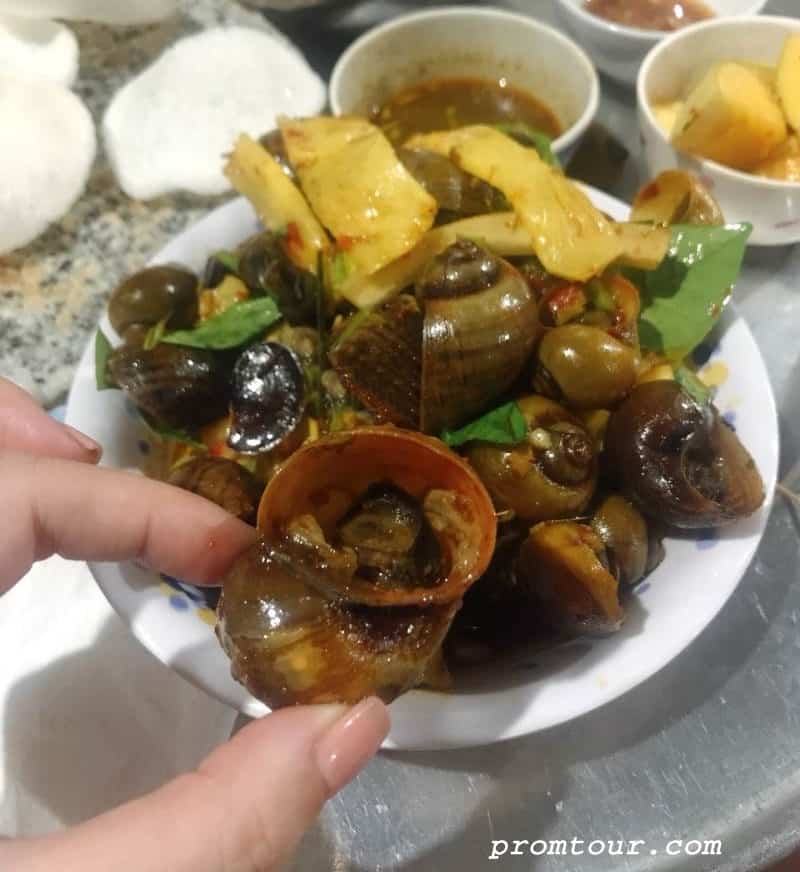 oc cay xoai dong hoi quang binhoc cay xoai dong hoi quang binh