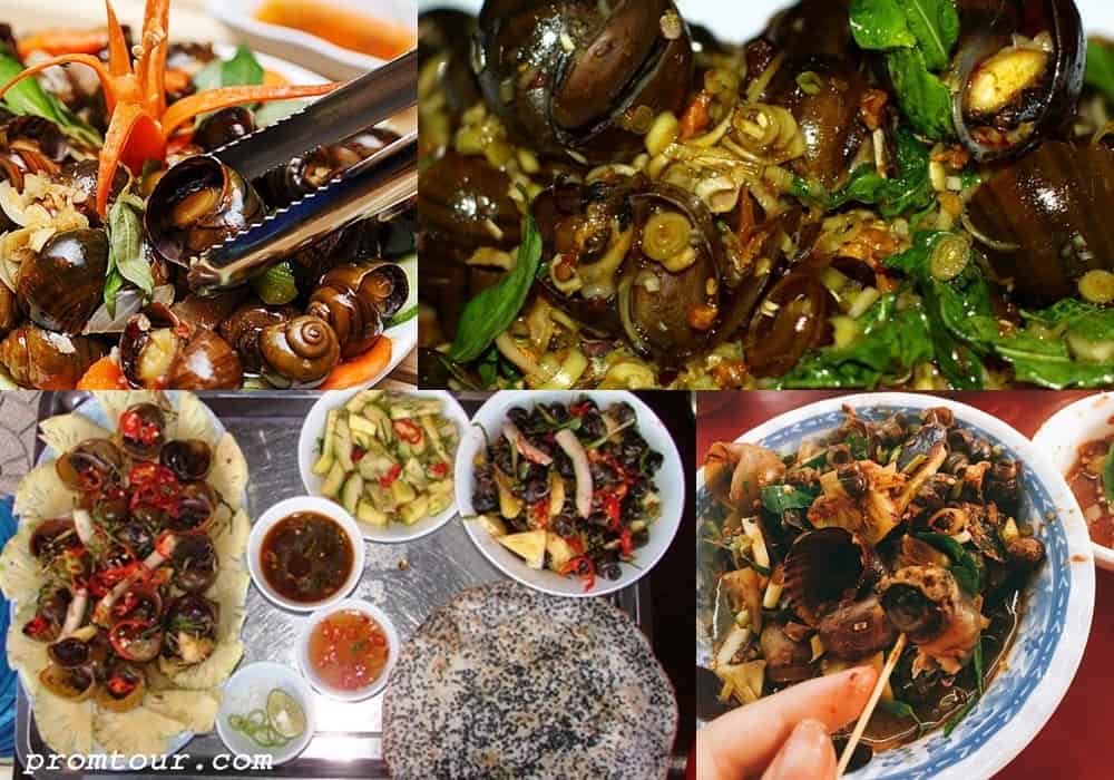 oc chien di thai dong hoi quang binh