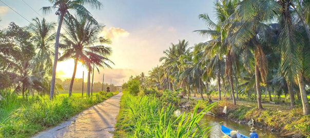 Du lịch Bến Tre – Hành trình khám phá xứ Dừa yên bình giữa miền Tây sông nước