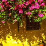 Các địa điểm vui chơi ở Hội An – Hướng dẫn đầy đủ cho chuyến đi trọn vẹn