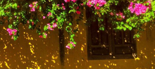 Các địa điểm vui chơi ở Hội An – Hướng dẫn đầy đủ cho chuyến đi trọn vẹn