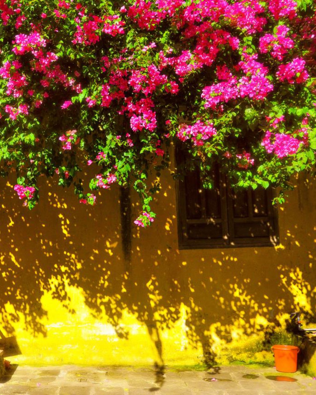 Các địa điểm vui chơi ở Hội An – Hướng dẫn đầy đủ cho chuyến đi trọn vẹn