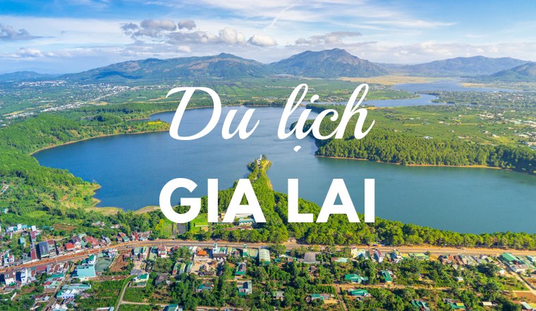 Cẩm nang Du lịch Gia Lai 2026: Hành trình khám phá trái tim Đại Ngàn