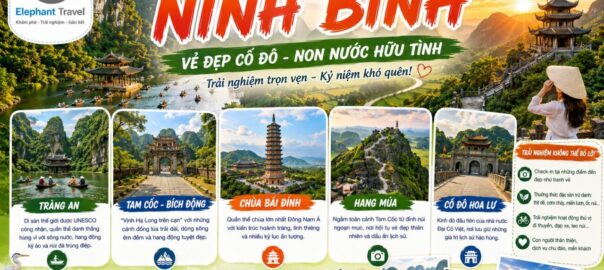 Du lịch Ninh Bình: Cẩm nang khám phá cố đô giữa lòng di sản