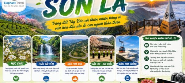 Cẩm nang du lịch Sơn La: 5 điều cần biết để khám phá bản tình ca giữa ngàn mây và cao nguyên