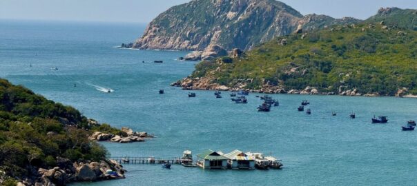 4 cung đường road trip lý tưởng trải nghiệm ở Việt Nam